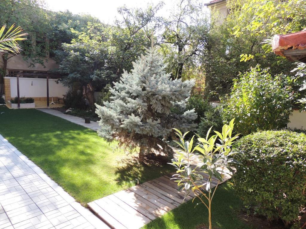 Fantasy Apartaments And Studios Avenue Комплекс Фантазия Хисаря Dış mekan fotoğraf